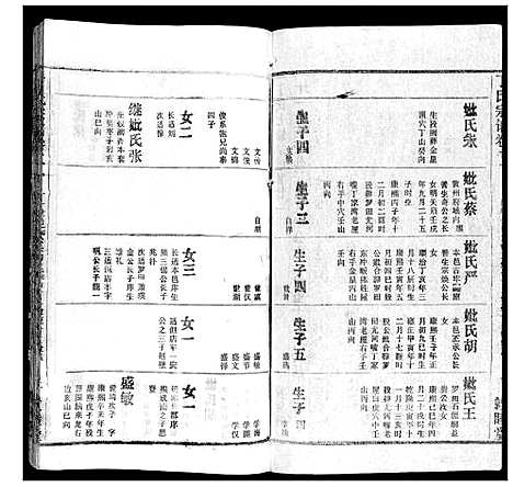 [丁]丁氏宗谱 (湖北) 丁氏家谱_八.pdf