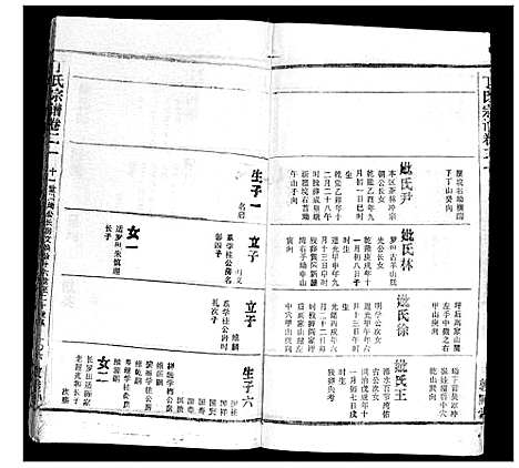 [丁]丁氏宗谱 (湖北) 丁氏家谱_十.pdf