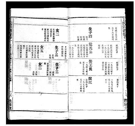 [丁]丁氏宗谱 (湖北) 丁氏家谱_十.pdf