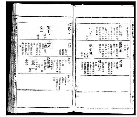 [丁]丁氏宗谱 (湖北) 丁氏家谱_十三.pdf