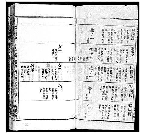 [丁]丁氏宗谱 (湖北) 丁氏家谱_十五.pdf