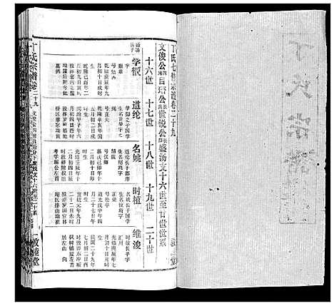 [丁]丁氏宗谱 (湖北) 丁氏家谱_十九.pdf