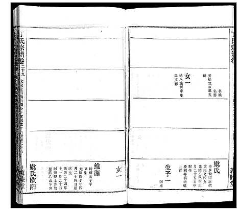 [丁]丁氏宗谱 (湖北) 丁氏家谱_十九.pdf