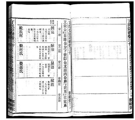 [丁]丁氏宗谱 (湖北) 丁氏家谱_二十二.pdf