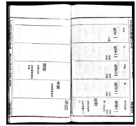 [丁]丁氏宗谱 (湖北) 丁氏家谱_二十九.pdf