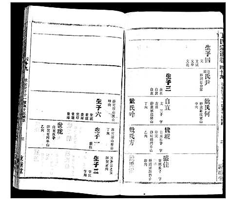 [丁]丁氏宗谱 (湖北) 丁氏家谱_三十五.pdf