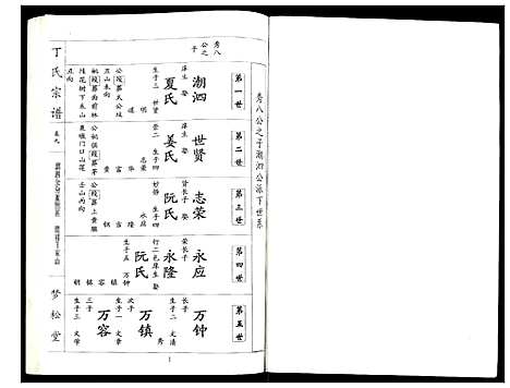 [丁]丁氏宗谱 (湖北) 丁氏家谱_九.pdf