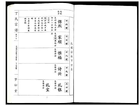 [丁]丁氏宗谱 (湖北) 丁氏家谱_十七.pdf