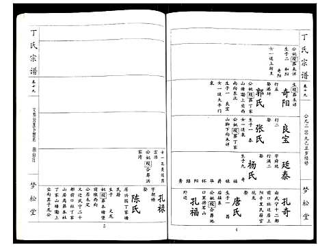 [丁]丁氏宗谱 (湖北) 丁氏家谱_十九.pdf