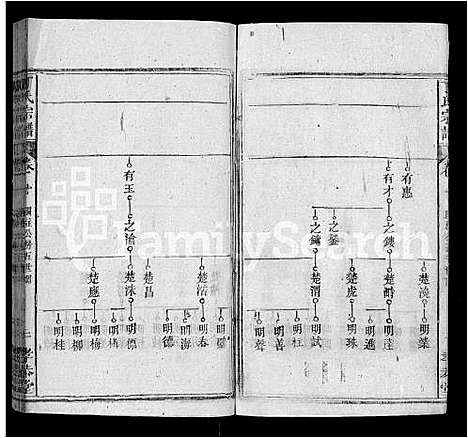 [丁]丁氏宗谱_13卷首3卷 (湖北) 丁氏家谱_五.pdf