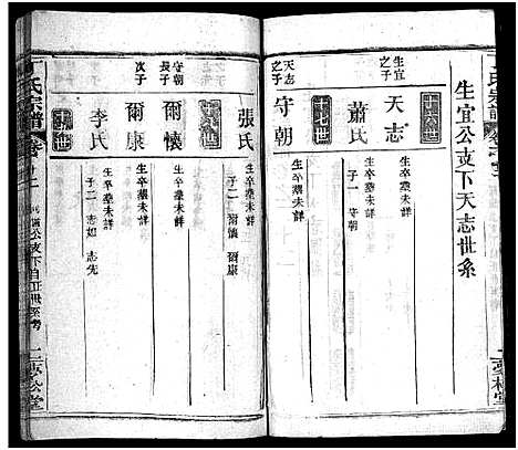 [丁]丁氏宗谱_24卷首2卷-Ding Shi (湖北) 丁氏家谱_二十一.pdf