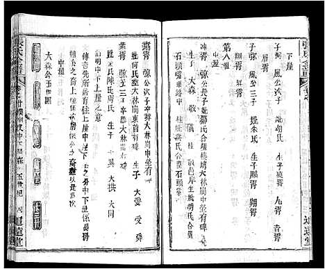 [张]张氏全谱_30卷 (湖北) 张氏全谱_十三.pdf