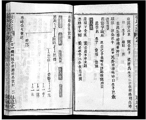 [张]张氏全谱_30卷 (湖北) 张氏全谱_十四.pdf