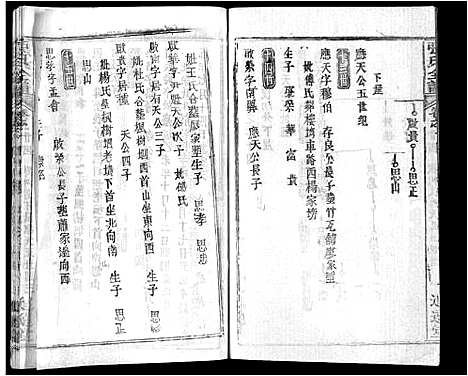 [张]张氏全谱_30卷 (湖北) 张氏全谱_十九.pdf