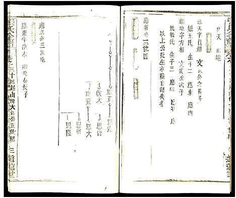 [张]张氏全谱_30卷 (湖北) 张氏全谱_A099.pdf