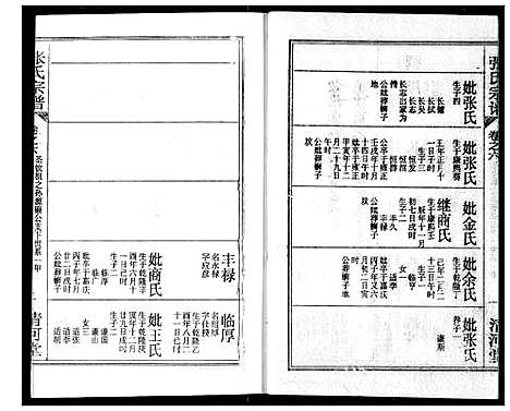 [张]张氏宗谱 (湖北) 张氏家谱_十九.pdf