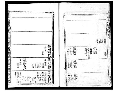 [张]张氏宗谱 (湖北) 张氏家谱_二十五.pdf