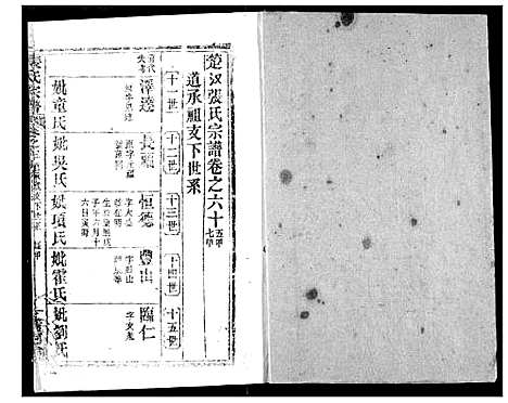 [张]张氏宗谱 (湖北) 张氏家谱_A082.pdf