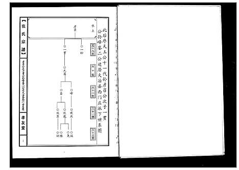 [张]张氏宗谱 (湖北) 张氏家谱.pdf