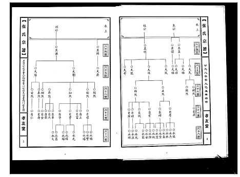 [张]张氏宗谱 (湖北) 张氏家谱.pdf