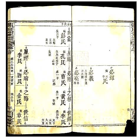 [张]张氏宗谱 (湖北) 张氏家谱_十一.pdf