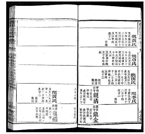 [张]张氏宗谱 (湖北) 张氏家谱_二十.pdf