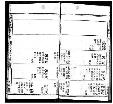 [张]张氏宗谱 (湖北) 张氏家谱_二十二.pdf