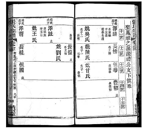 [张]张氏宗谱 (湖北) 张氏家谱_十二.pdf