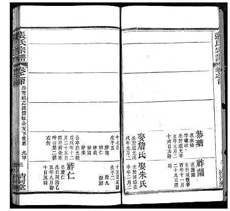 [张]张氏宗谱 (湖北) 张氏家谱_十七.pdf