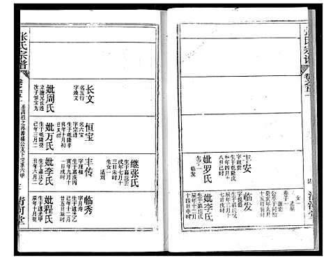 [张]张氏宗谱 (湖北) 张氏家谱_四十一.pdf