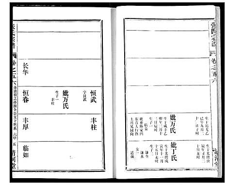 [张]张氏宗谱 (湖北) 张氏家谱_四十三.pdf