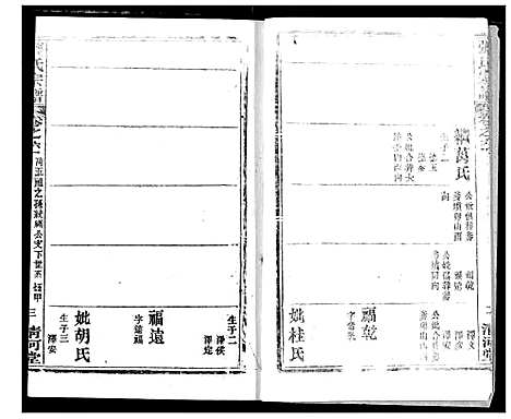 [张]张氏宗谱 (湖北) 张氏家谱_四十六.pdf