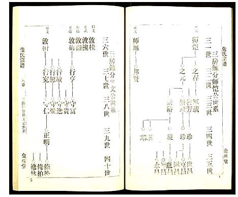 [张]张氏宗谱 (湖北) 张氏家谱_八.pdf