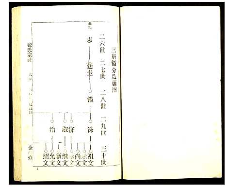 [张]张氏宗谱 (湖北) 张氏家谱_九.pdf