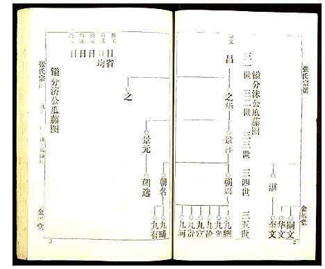 [张]张氏宗谱 (湖北) 张氏家谱_九.pdf