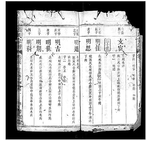 [张]张氏宗谱 (湖北) 张氏家谱_十.pdf