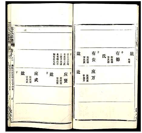 [张]张氏宗谱 (湖北) 张氏家谱_十三.pdf