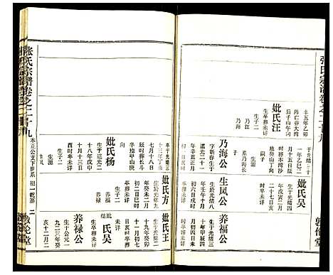 [张]张氏宗谱 (湖北) 张氏家谱_三十一.pdf