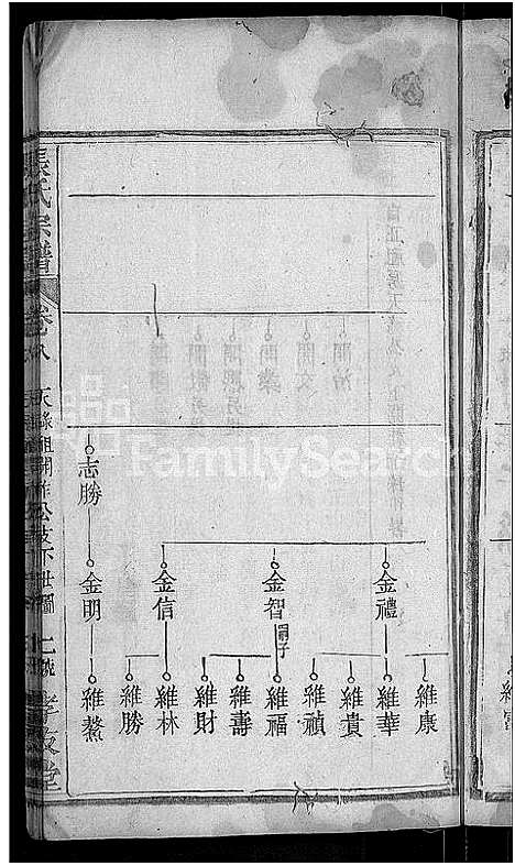 [张]张氏宗谱_12卷首1卷 (湖北) 张氏家谱_八.pdf