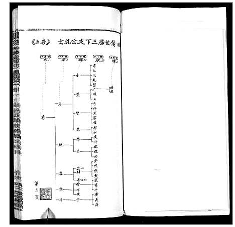 [张]张氏宗谱_35卷首1卷 (湖北) 张氏家谱_十二.pdf