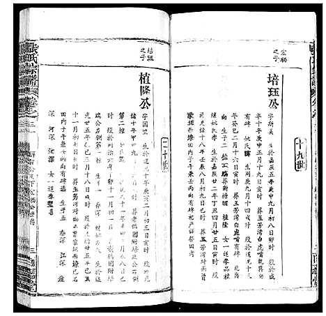 [张]张氏宗谱_35卷首1卷 (湖北) 张氏家谱_三十一.pdf