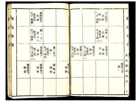 [张]张氏宗谱_不分卷 (湖北) 张氏家谱.pdf