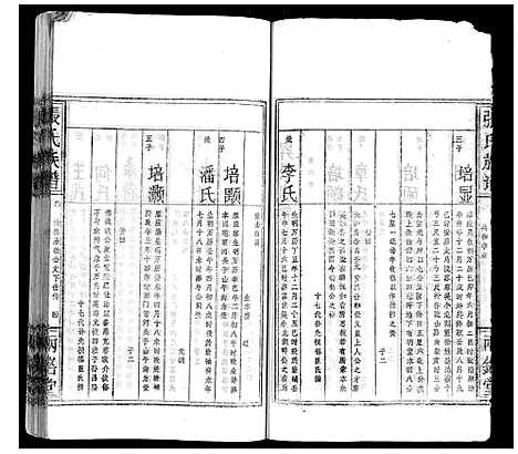 [张]张氏族谱 (湖北) 张氏家谱_四.pdf