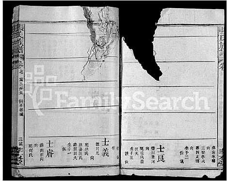 [张]张氏族谱_22卷首1卷 (湖北) 张氏家谱_八.pdf