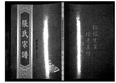 [张]蕲阳张氏九修宗谱_12卷 (湖北) 蕲阳张氏九修家谱_十.pdf