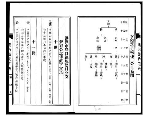 [张]迁沔张氏宗谱 (湖北) 迁沔张氏家谱_六.pdf