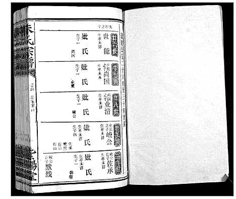 [朱]朱氏宗谱_10卷首2卷 (湖北) 朱氏家谱_九.pdf