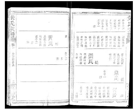 [朱]朱氏宗谱_2卷首1卷 (湖北) 朱氏家谱_二.pdf