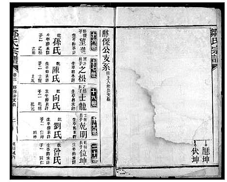 [邹]邹氏宗谱 (湖北) 邹氏家谱_一.pdf