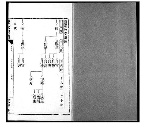 [邹]邹氏宗谱 (湖北) 邹氏家谱_二十六.pdf